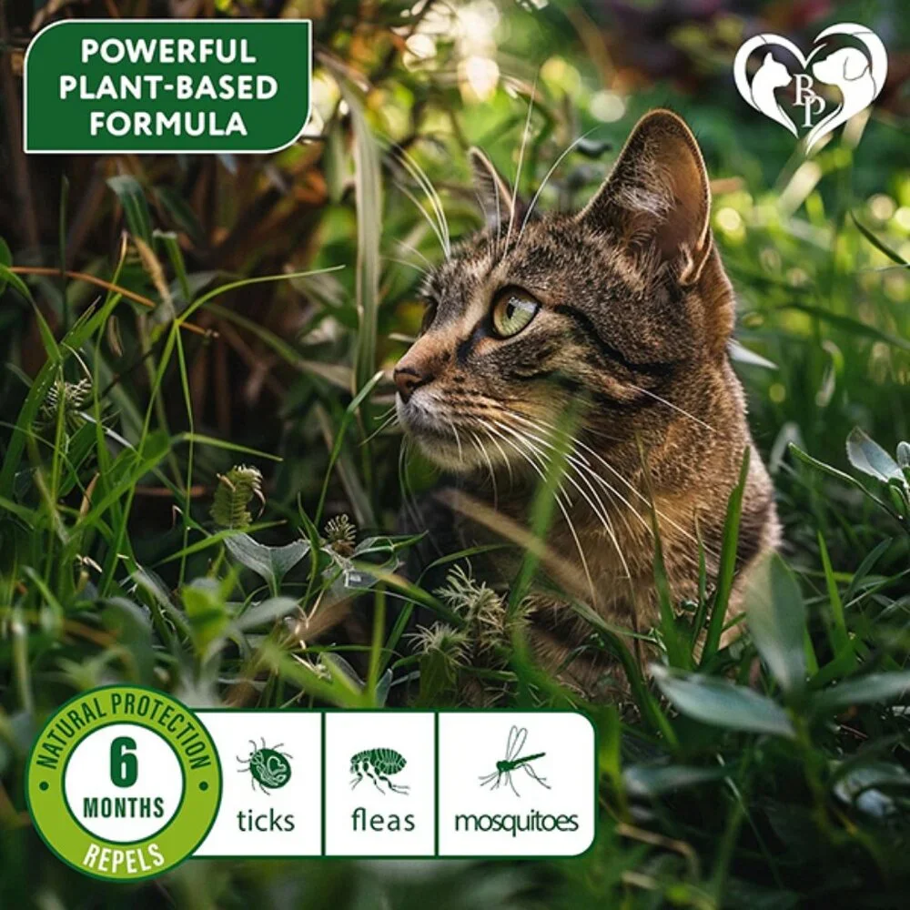 New Natural Flea and Tick Collar for Cats with 6 Month Protection